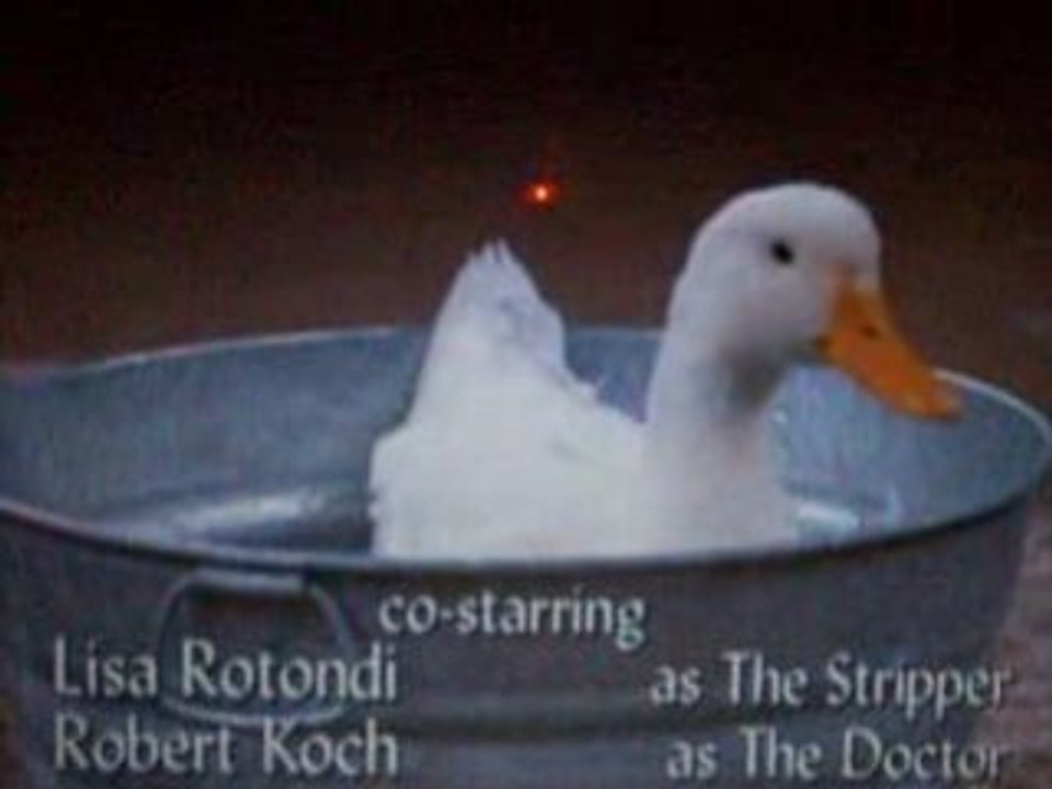 Le canard!