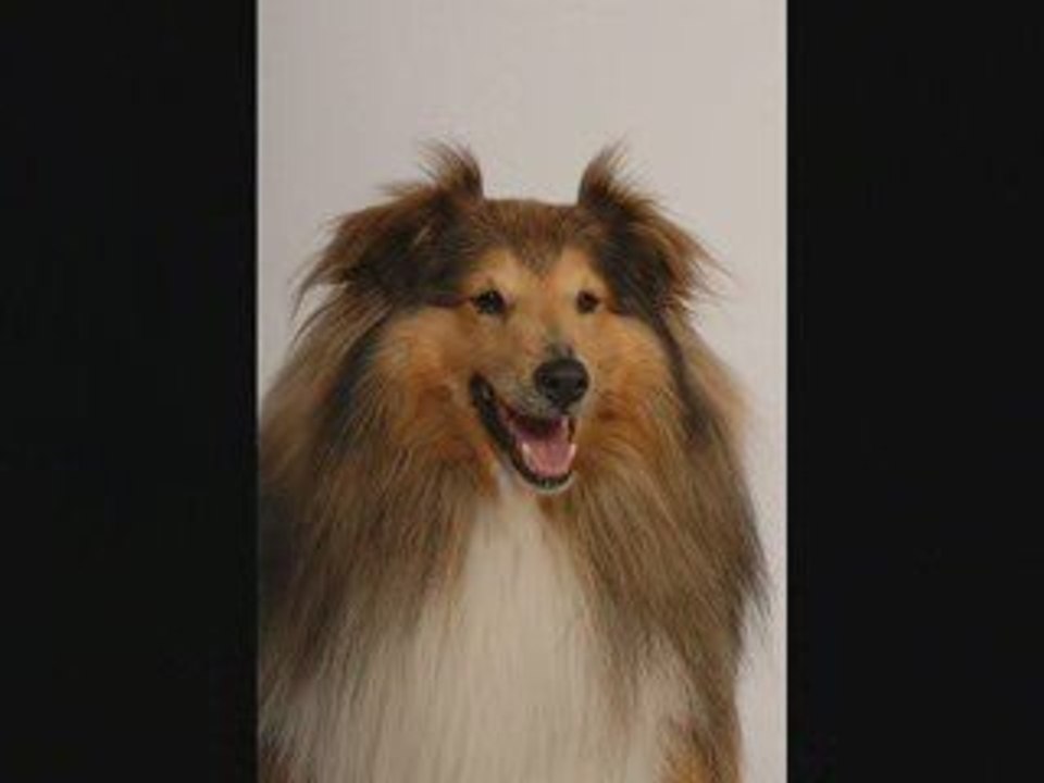 13éme Concours d'Axel
