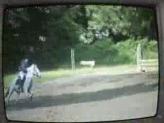 CSO a L'ormes des mazière en juin 2008