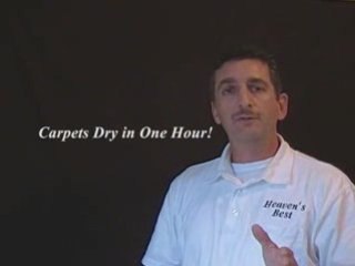 "Greenville sc carpet cleaning and maid service"