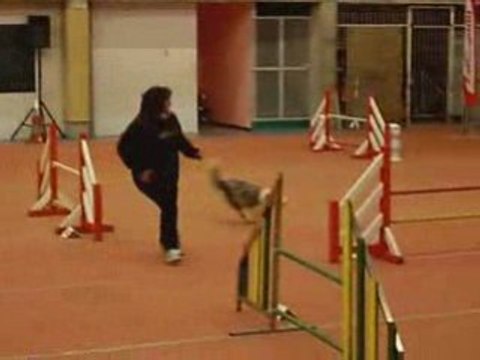 commentry 2009 Jumping bala