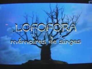 CLIP MEMOIRES DE SINGES