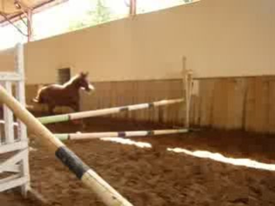 Irmione saut 2