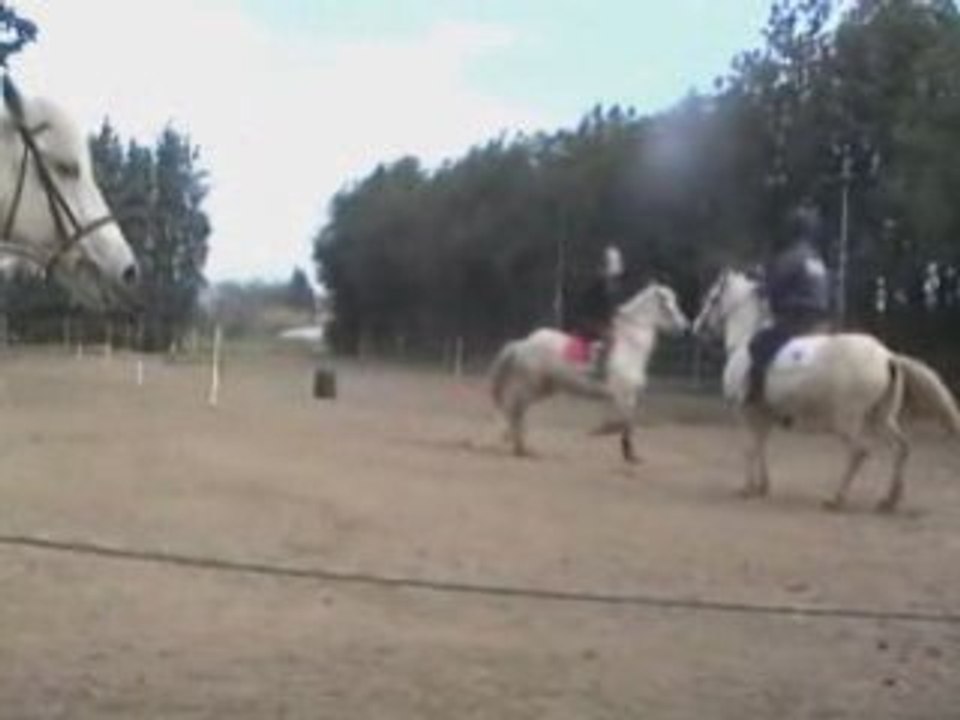 video 3  suite du 16/02/2009