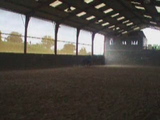 les chevaux qui font les couillons =)