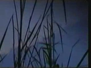 Fox News ufo filmed in Mexico by patrol car!