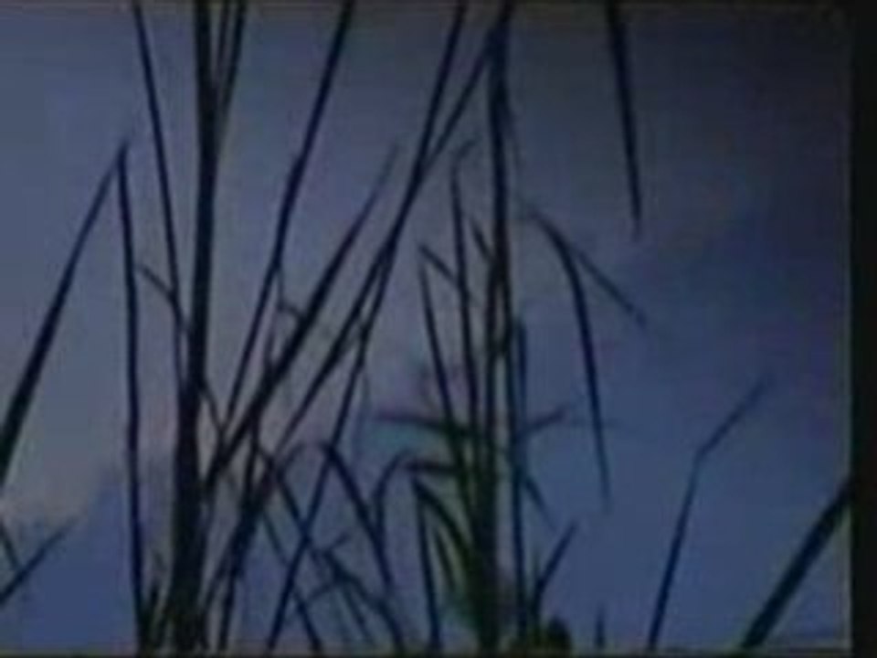 Fox News ufo filmed in Mexico by patrol car!