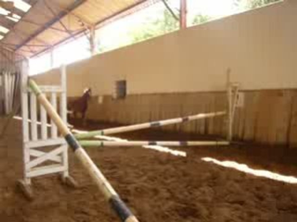Irmione saut 4