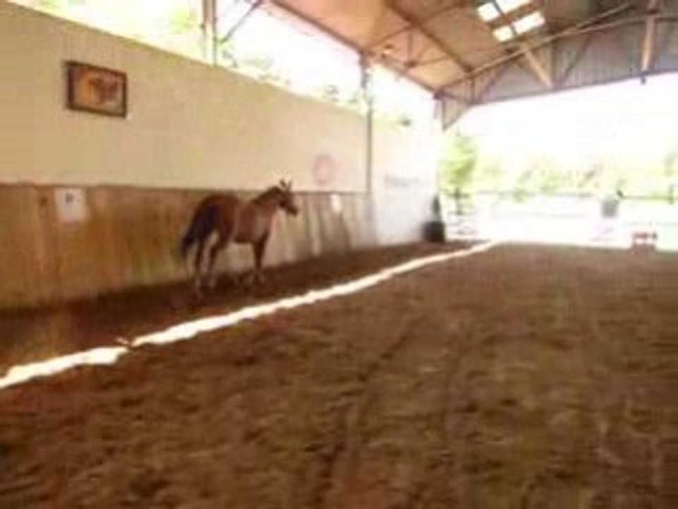 Irmione saut 5