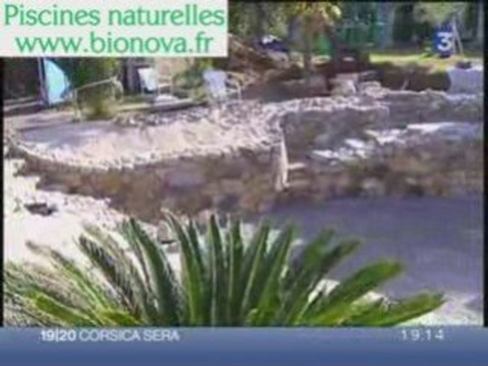 Piscine naturelle BioNova en cours de chantier