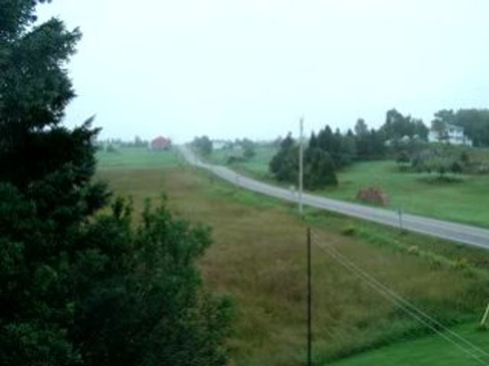 Un an à la fenêtre