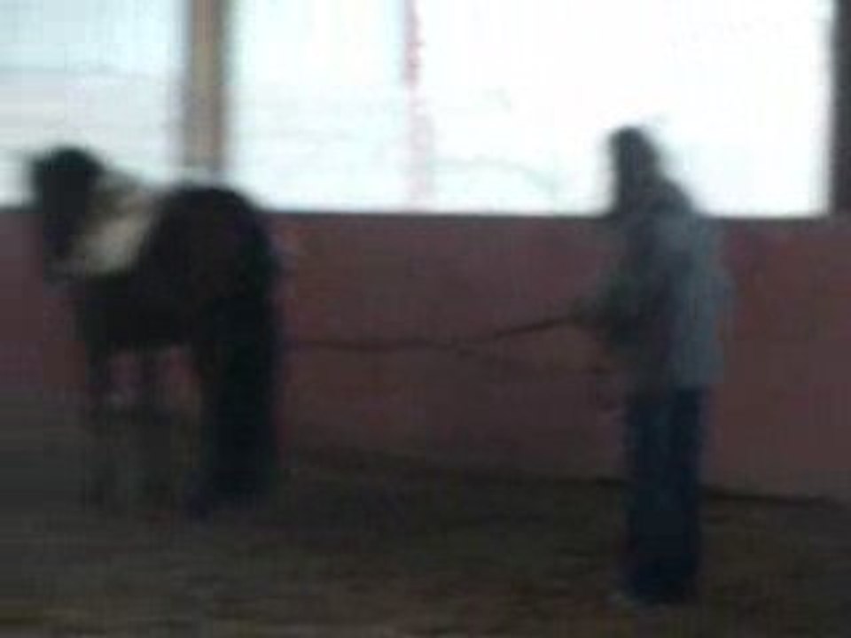Moon poneyy' =D