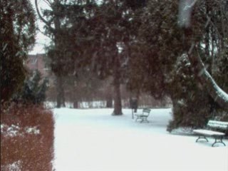 Kraina miłość-OMD 0001