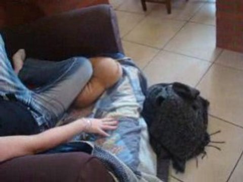 Mardi 3 février 019