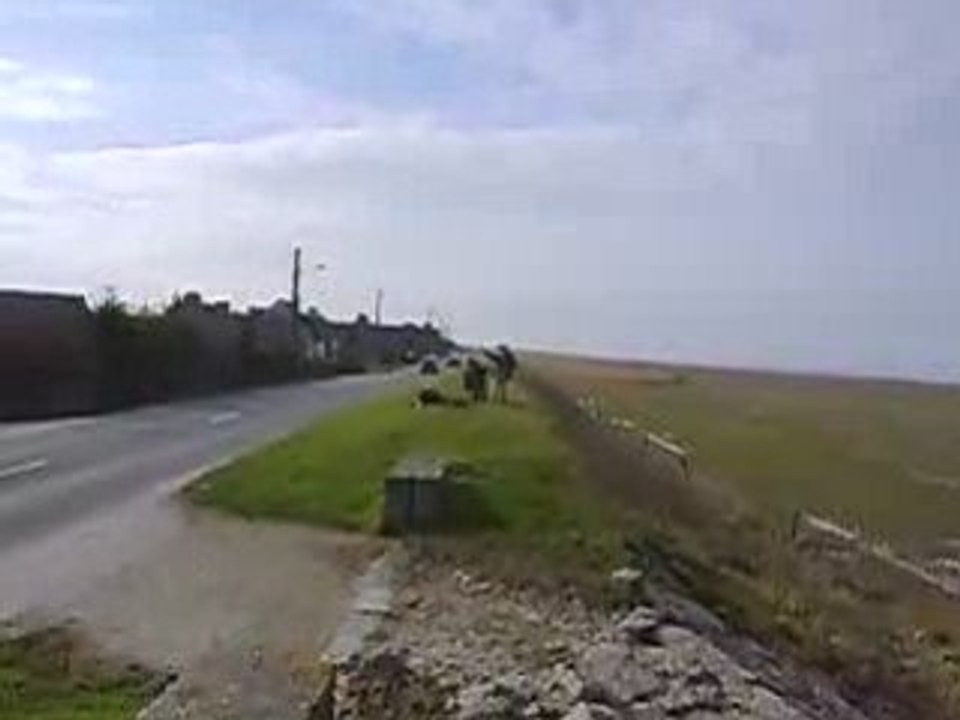 CLAN SAINT ROCH AU MONT SAINT MICHEL 1417 FEVRIER 2009 2