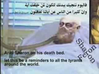 Que devient Ariel Sharon?
