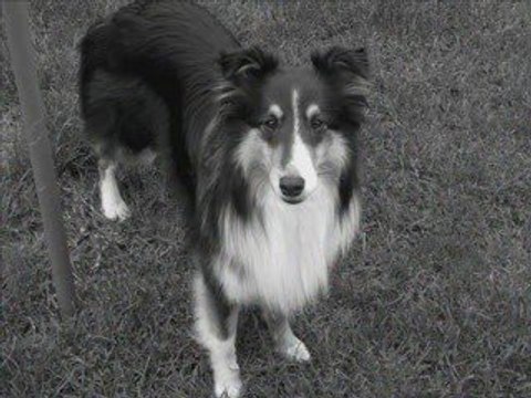 6éme Concours de Cooper