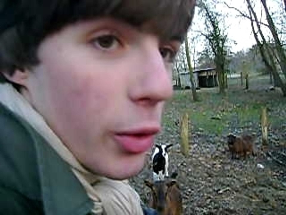 CLAN SAINT ROCH AU MONT SAINT MICHEL 1417 FEVRIER 2009 7