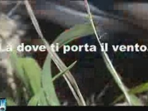Là dove ti porta il vento