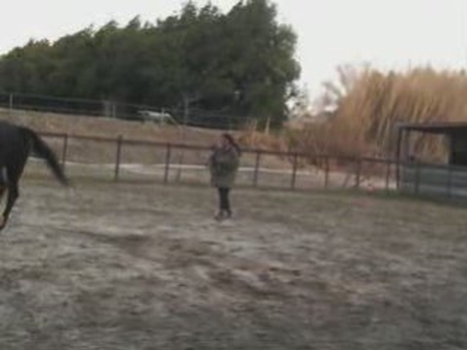 Playa qui saute  en longe