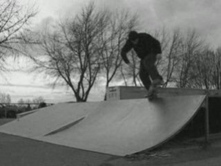 a palmito on my board