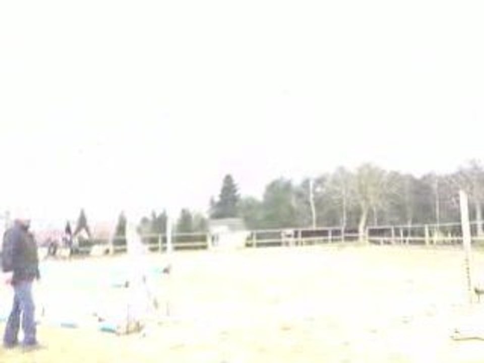 V130209_15.01