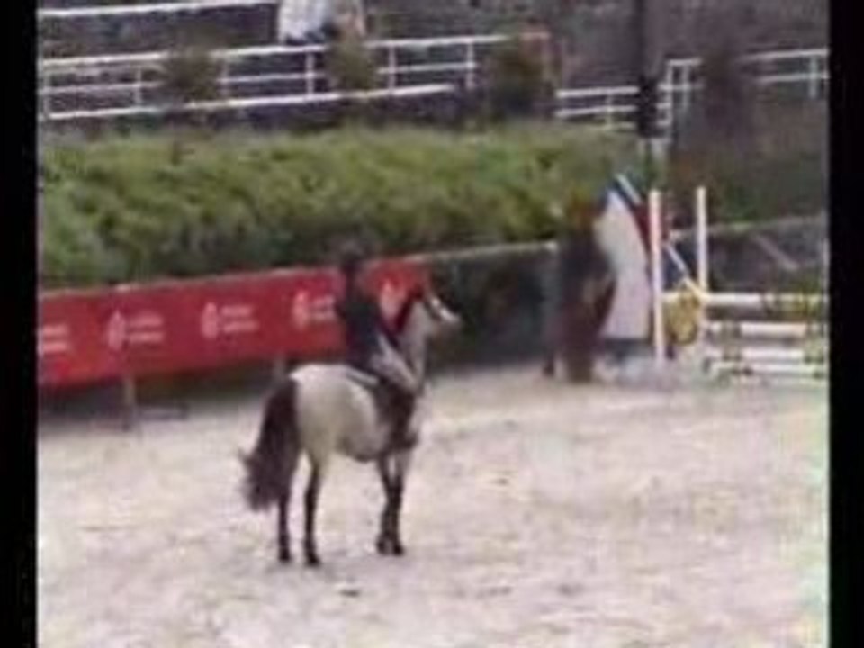 Horel de Mesnilbus - NHS août 2008 - C2p