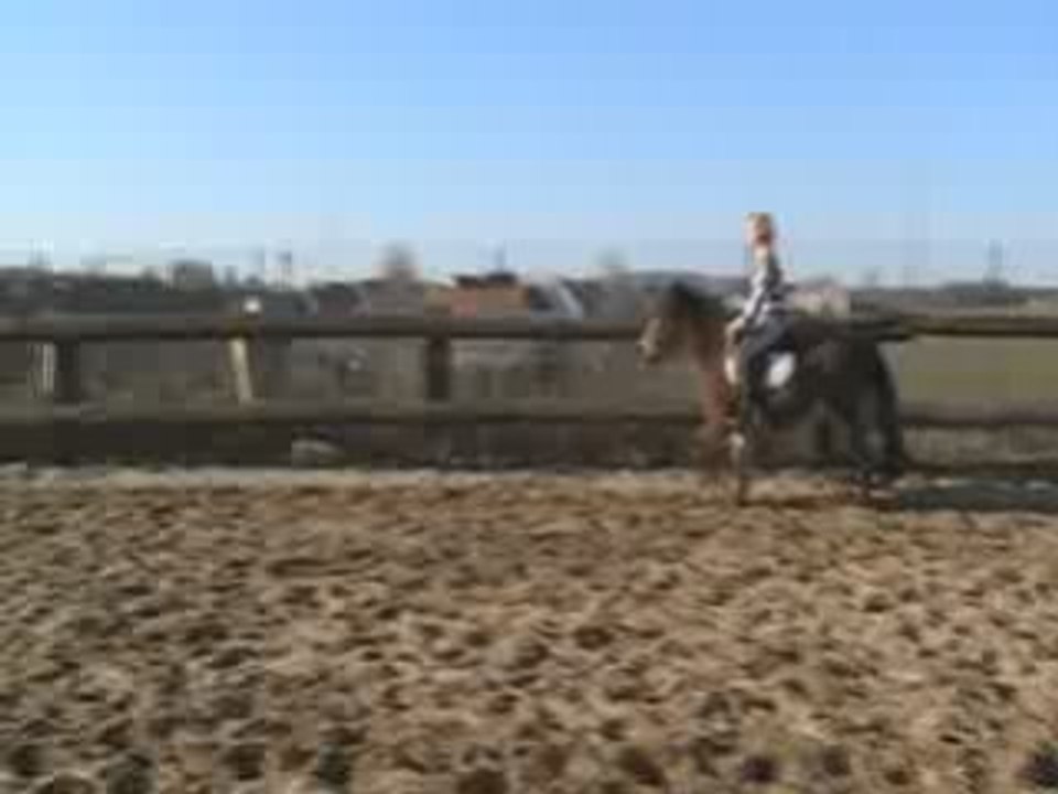 cours de Joker