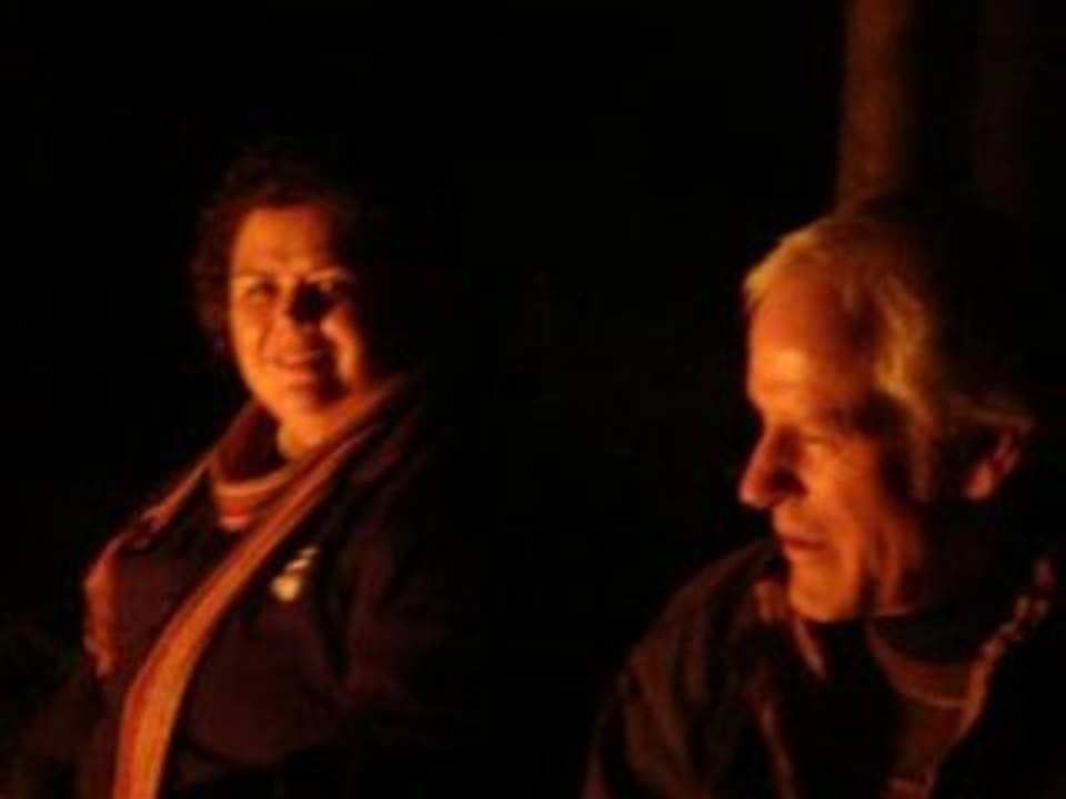 Straubing pfatter waldweihnacht 160