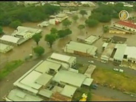 Австралия: осторожно - крокодилы в городе!