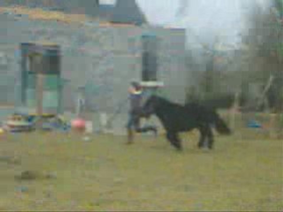 Video nes