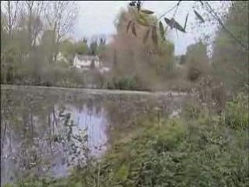 Le jardin des vertueux