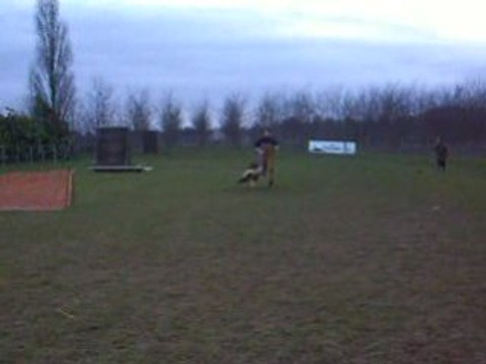 N° 2 - covou rci mordant attaque