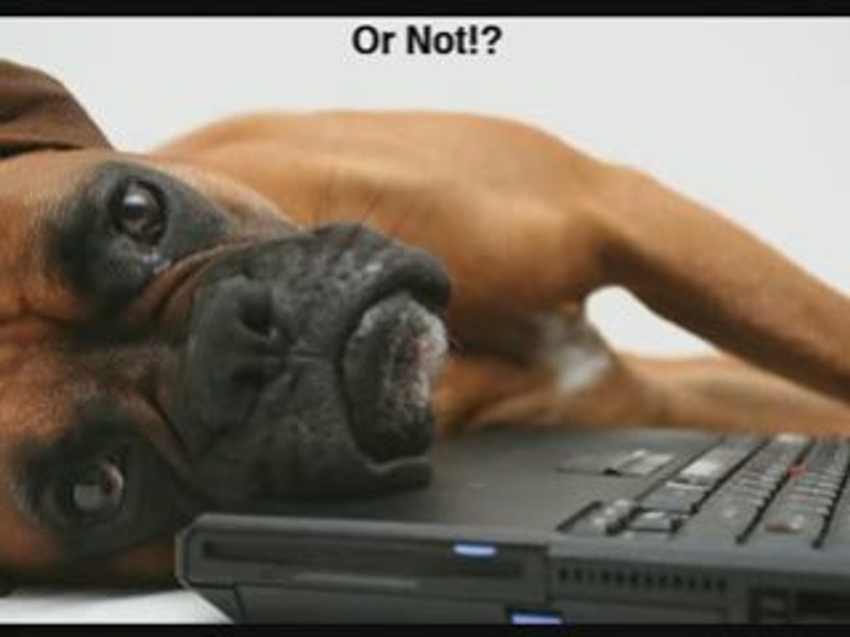 Best Way to Make Money on Internet Revealed