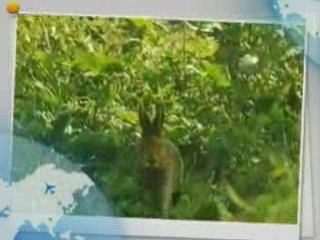 What A Wonderful World