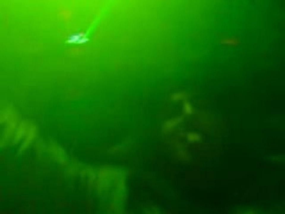 Audiogenic - The Freakwaves Tour @ CAT - Bordeaux