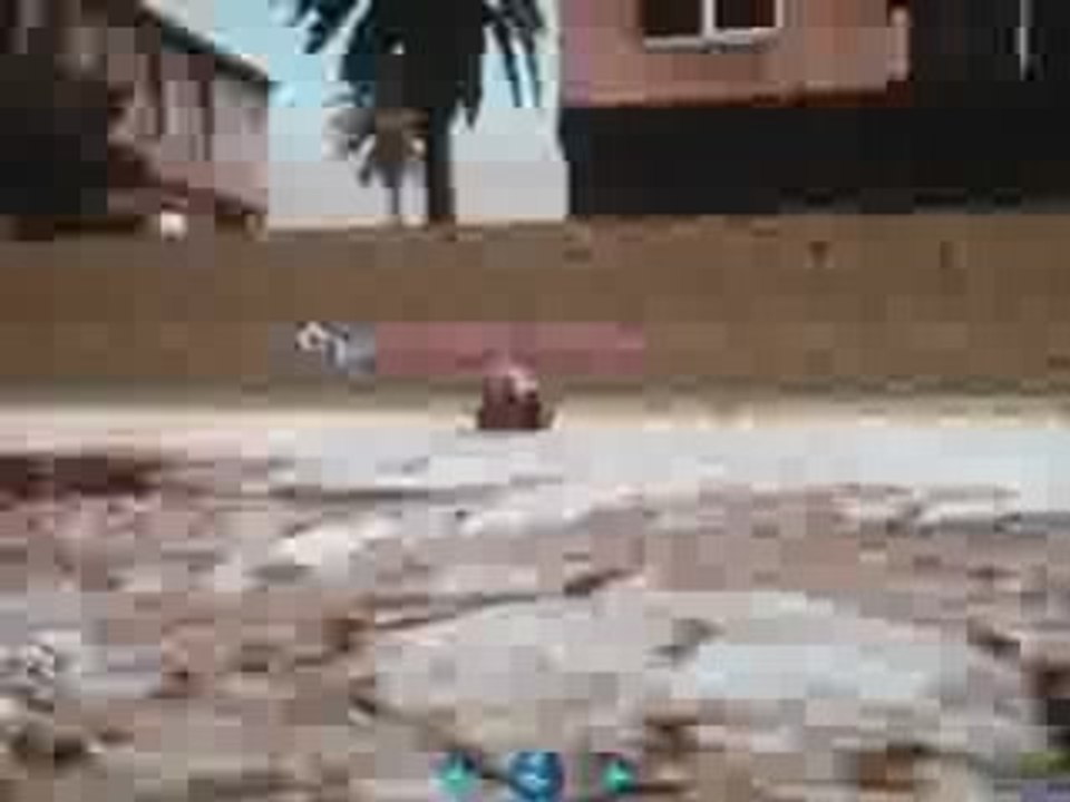 COD4 Glitch bug du pingouin map Terain cal of duty 4