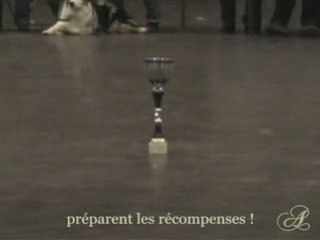 Championnat 3 Frontières Luxembourg 2009 (2ème partie)