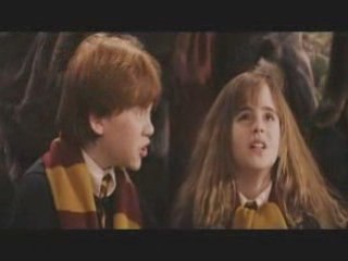 Harry thanks Hermione-Because You Loved Me