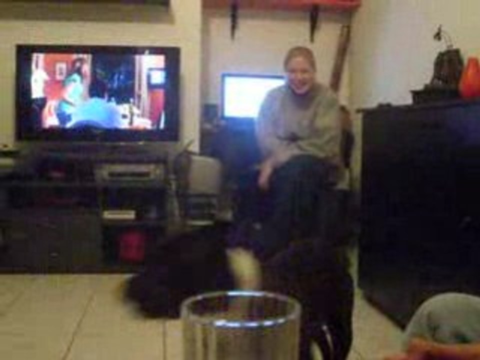 staffy meme pa peur
