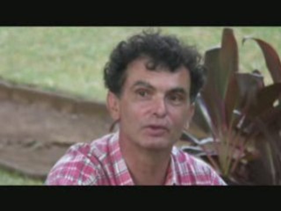 Collectif artistique Traverse974 île de la Réunion