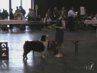 Championnat 3 Frontières Luxembourg 2009 (1ère partie)