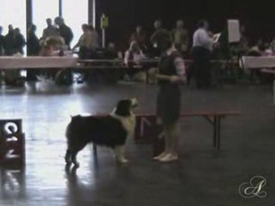 Championnat 3 Frontières Luxembourg 2009 (1ère partie)