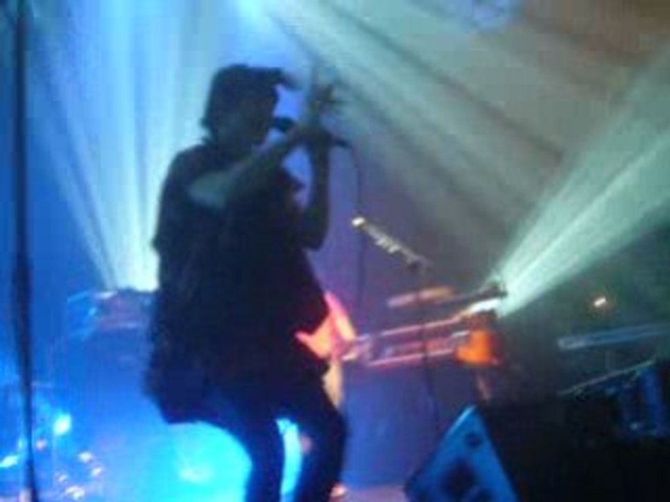 The Do - Queen Dot Kong - Ferme du buisson