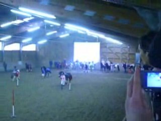 Pony Games : A terre, à cheval