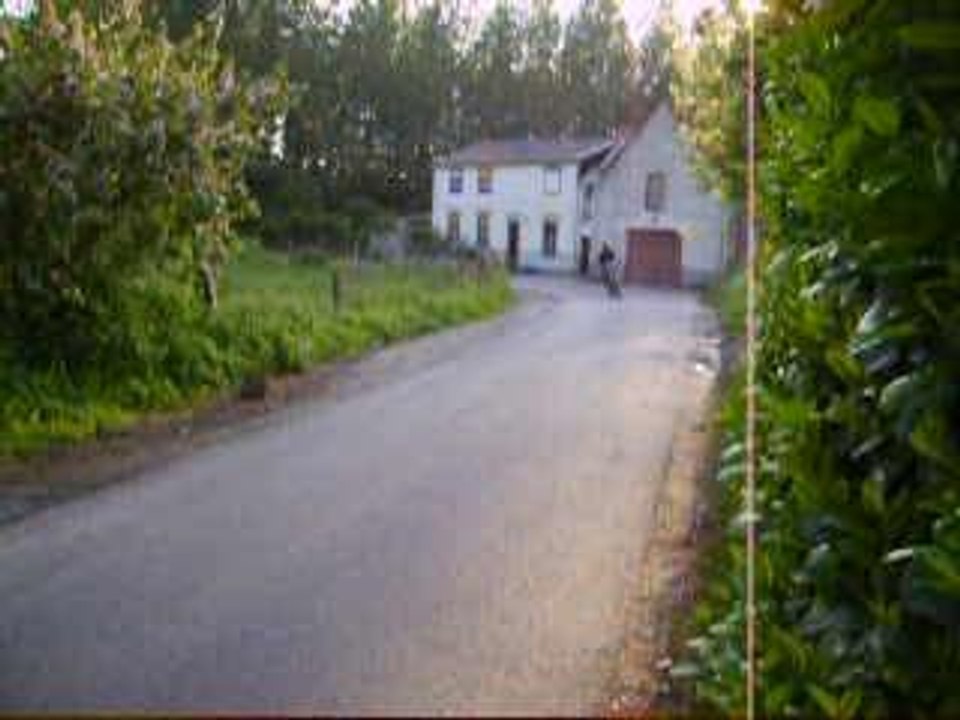 derbi