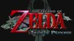 Hyrule Field (Nuit) - The Legend of Zelda TP OST