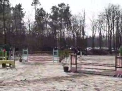 CSO au Mans, 15 Février 2009, Alice et Galop III.