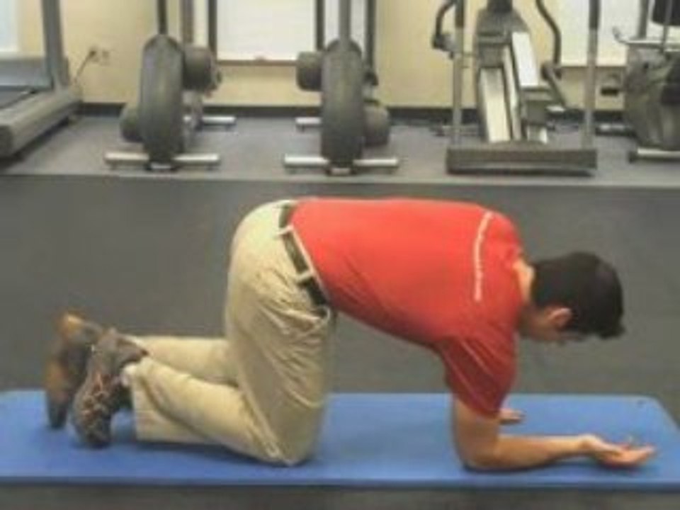 Back Exercises #6