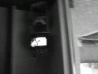 Leeei Chicons Périméés En Force (Hh)